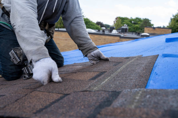 Quick and Trustworthy Emergency Roof Repair Services in Appleton City, MO